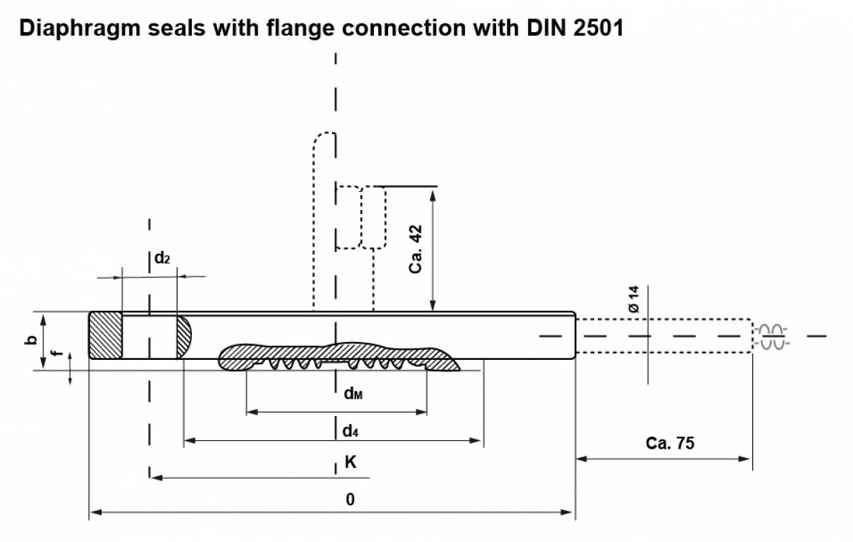 Diaphragm seals with flange connection with DIN 2501